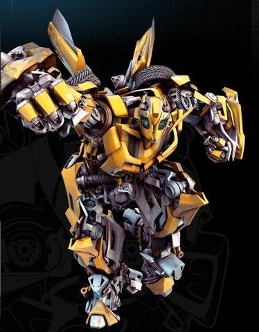 Bumblebee (2 of 6)