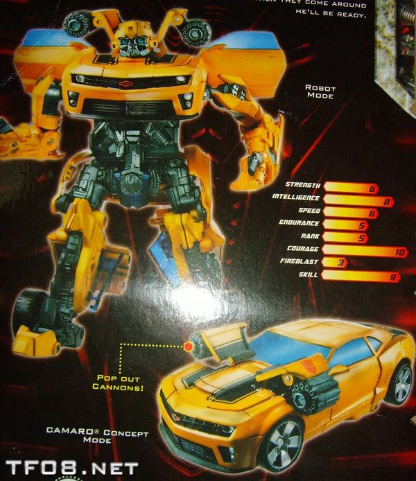 Pop Up Cannons Bumblebee 1 (1 of 2)