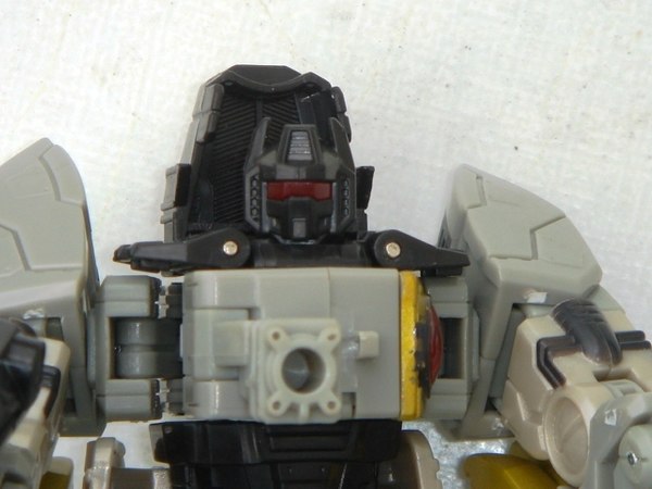 Classics Grimlock 10 (10 of 10)