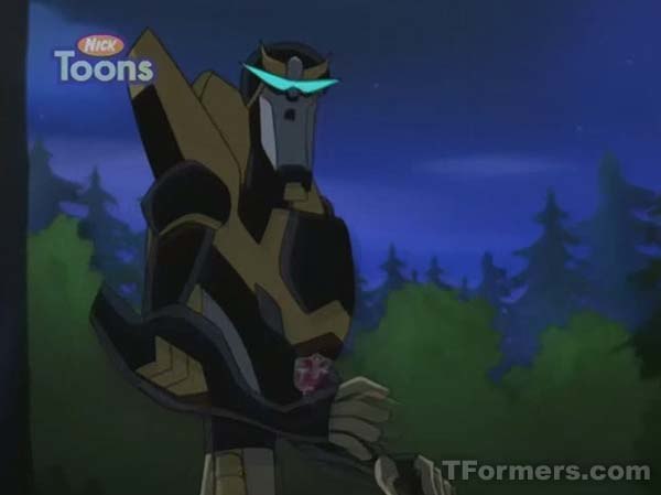 Transformers Animated 210 Black Friday 102 (103 of 244)