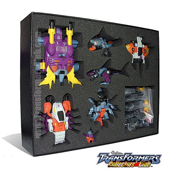 Video Review: TCC Club Exclusive Seacons