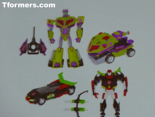 Botcon 2011 Transformers Collectors Club  (5 of 27)