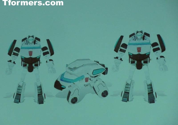 Botcon 2011 Transformers Collectors Club  (7 of 27)