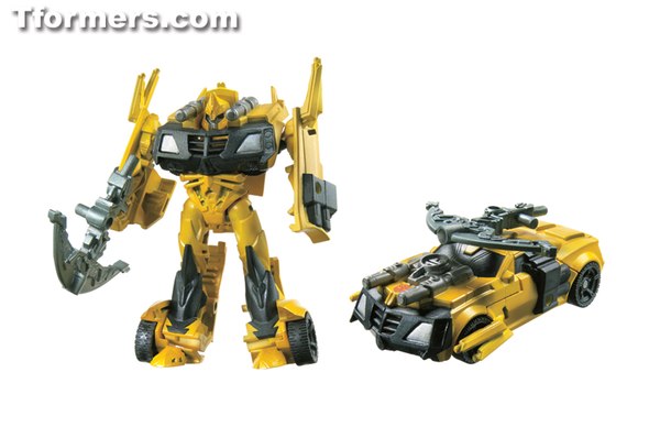 Bumblebee (3 of 4)