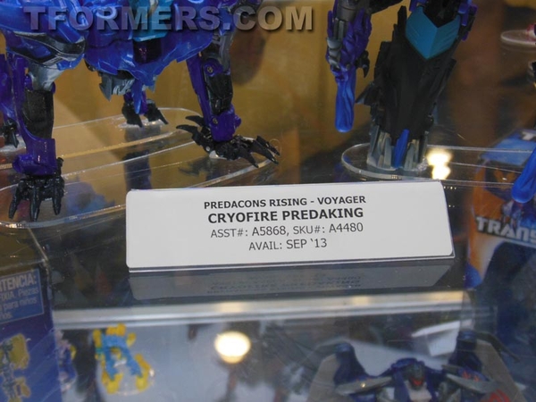 Botcon 2013   Transformers Prime Beast Hunters Day 3 Image Gallery  (14 of 93)