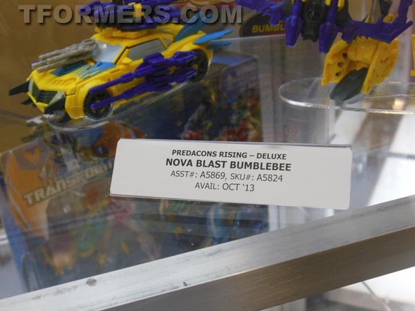 Botcon 2013   Transformers Prime Beast Hunters Day 3 Image Gallery  (31 of 93)