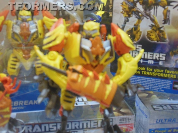 Botcon 2013   Transformers Prime Beast Hunters Day 3 Image Gallery  (74 of 93)