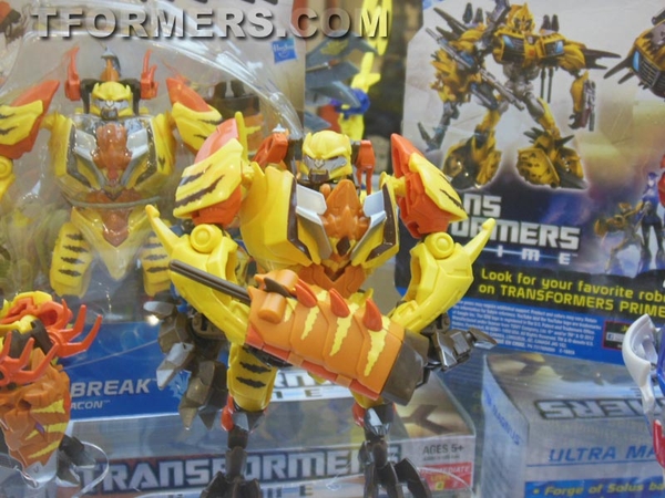 Botcon 2013   Transformers Prime Beast Hunters Day 3 Image Gallery  (75 of 93)
