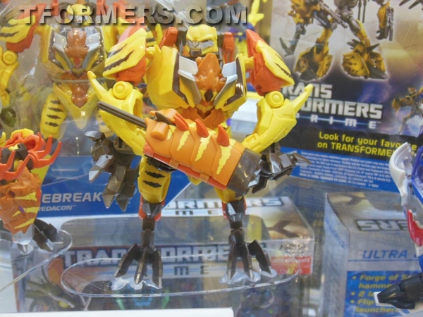 Botcon 2013   Transformers Prime Beast Hunters Day 3 Image Gallery  (76 of 93)