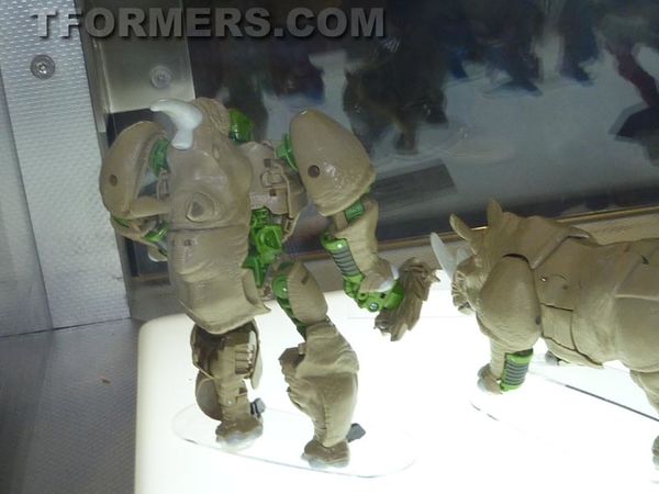 Botcon 2013   Tranformers Generations New 2014 Figures Image Gallery  (57 of 131)