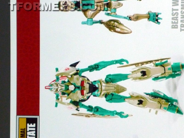 BotCon 2013   Transformers Transformers Collectors Club Roundtable Panel  (38 of 40)