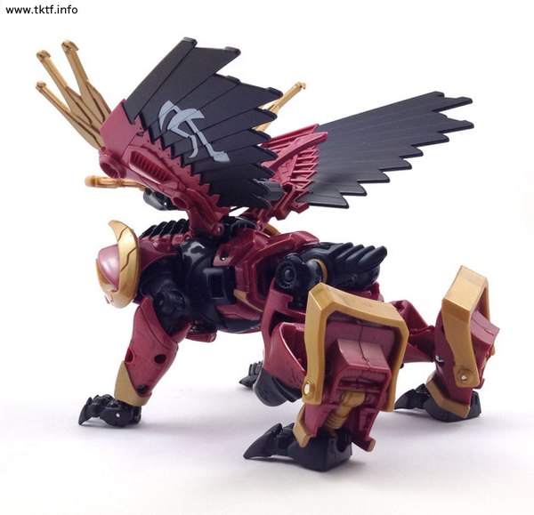 Transformers Go! G08 Budora Out Of Box Images Of Japan Exclusive Edition  (40 of 48)