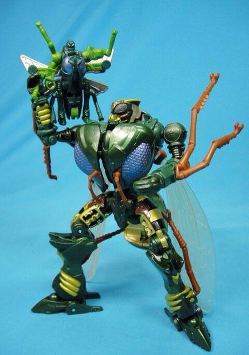 takara waspinator