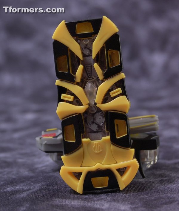 01WarriorBee01 (1 of 15)