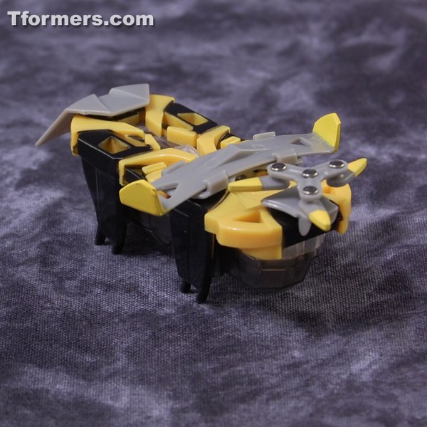 download hexbug warriors