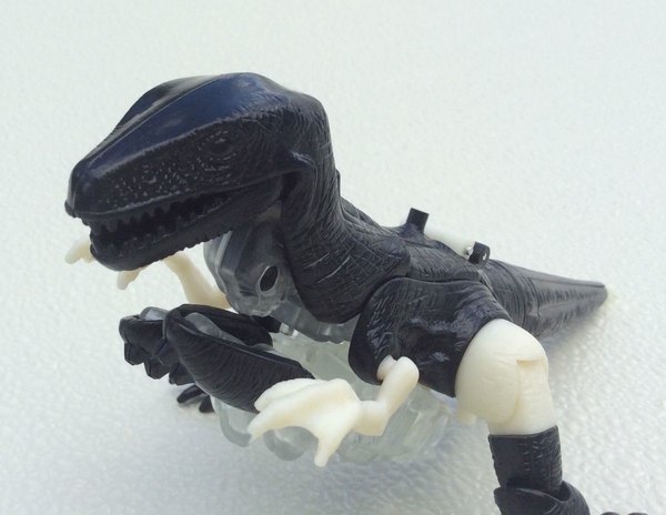 Recently Unearthed Optimal Optimus Prototype Now Up For Auction, Plus Tarantulas, Dinobot and Waspinator!