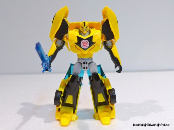 Bumblebee 05 (5 of 25)