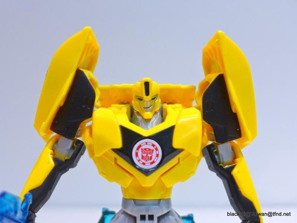 Bumblebee 06 (6 of 25)