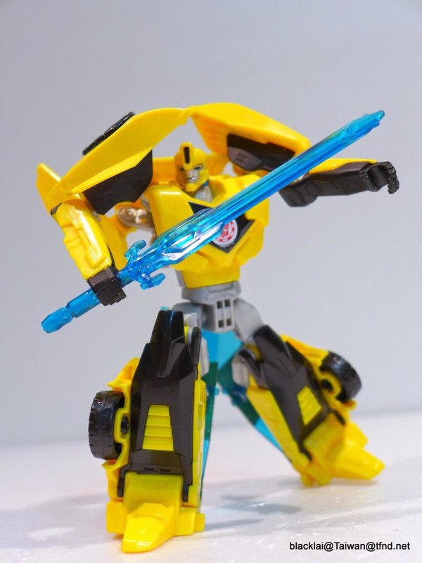 Bumblebee 07 (7 of 25)