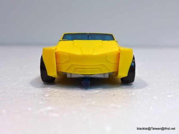 Bumblebee 20 (20 of 25)