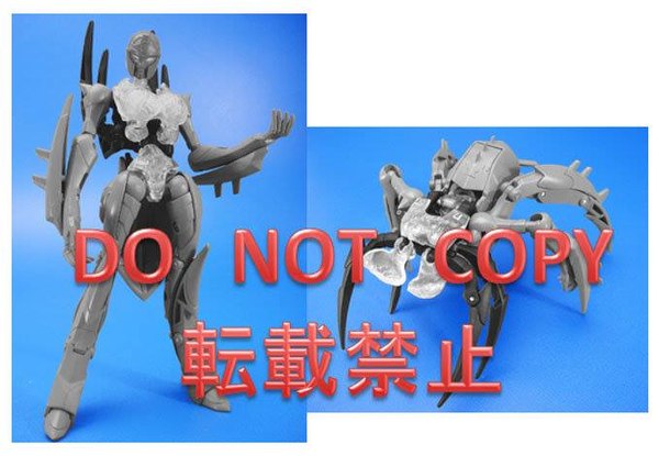 Takara's October Selection Of Legends Leaked: Slipstream, Nightbird, Beast Wars Blackarachnia!