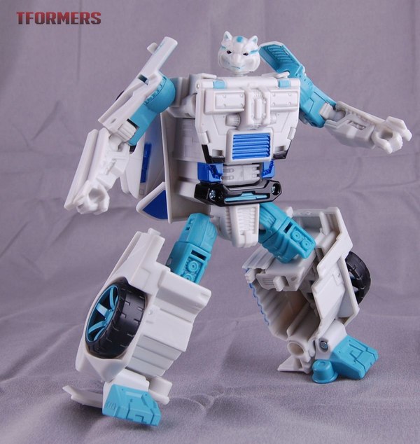 botcon tigatron