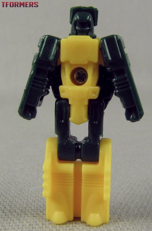 titan master brawn