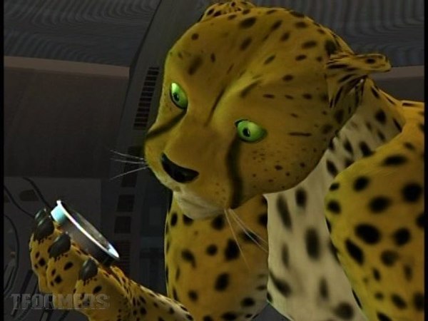 Looking Back At Beast Wars With 'The Web'