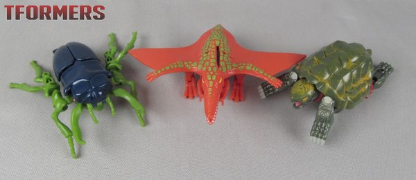 beast wars 1996 toys