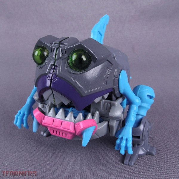 Sharkticon toy hot sale