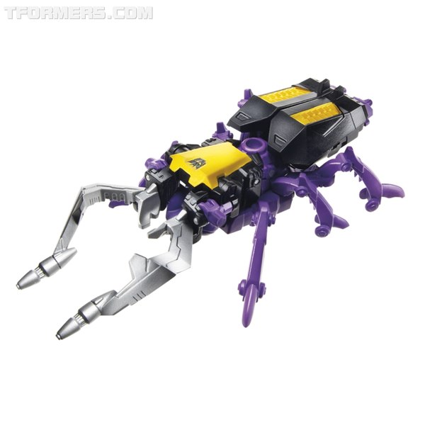 E1703 INSECTICON SKRAPNEL ALT (30 of 42)