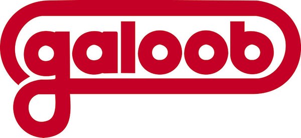 The Brands Of Transformers, Part 5: Galoob