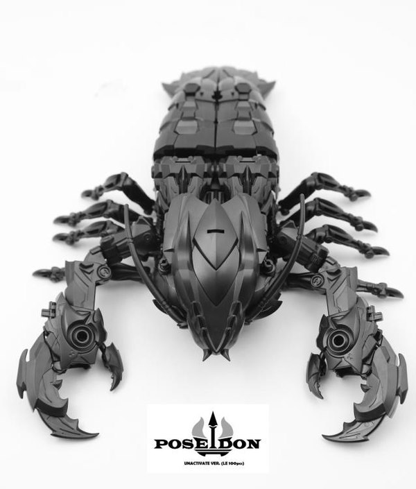P01 06B Poseidon Unactivate Version Limited Edition  (18 of 37)