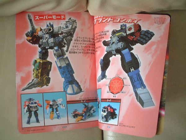 TFENERGONBOOK2c (3 of 8)