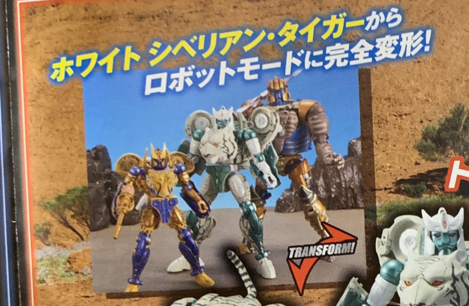 Winter Wonderfest 2020   Catalog Images Of MP 50 Masterpiece Tigatron And MP 51 Arcee  (5 of 5)