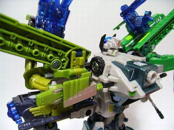 Sl Bruticus 3 (3 of 5)