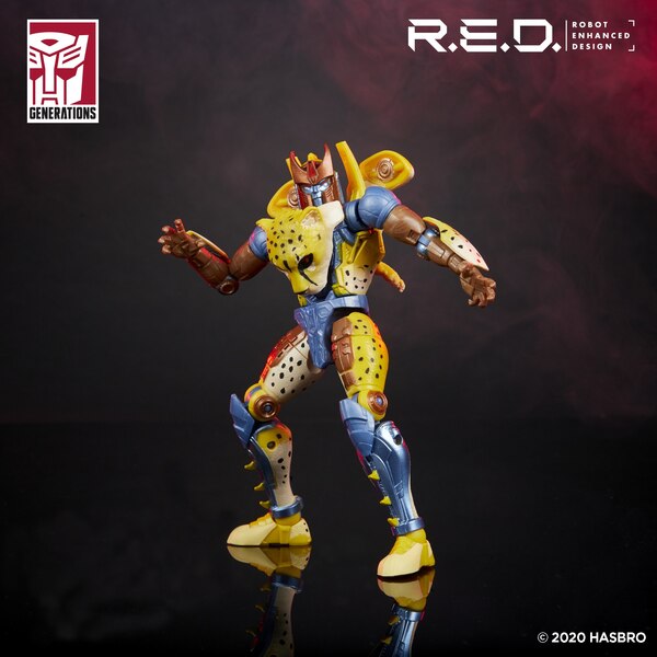 Transformers R.E.D. Oficial Images   Arcee And Cheetor  (6 of 10)