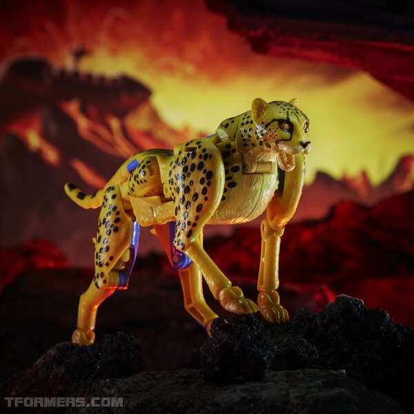 F0669xxxx DIO TRA KINGDOM CHEETOR 3 Medium 72DPI (17 of 46)