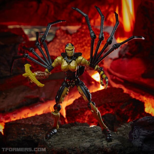 F0670xxxx DIO TRA KINGDOM BLACK ARACHNIA 5 Medium 72DPI (21 of 46)