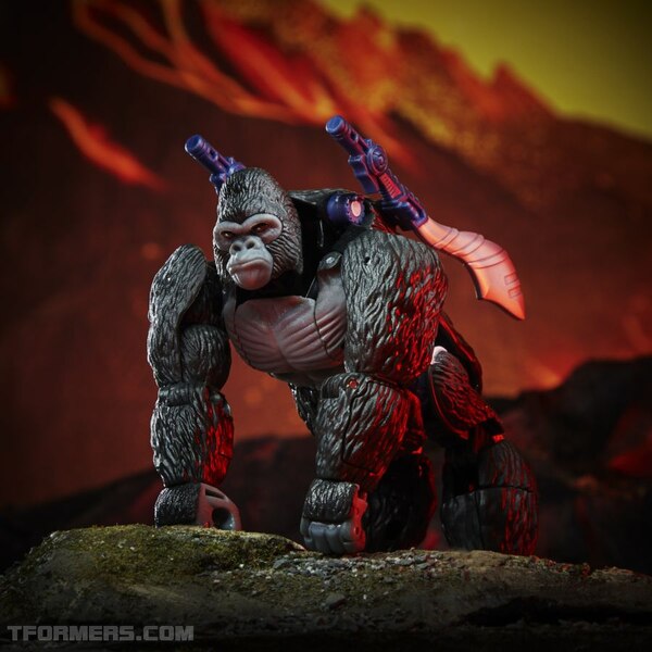 F0691xxxx DIO TRA KINGDOM OPTIMUS PRIMAL 4 Medium 72DPI (32 of 46)