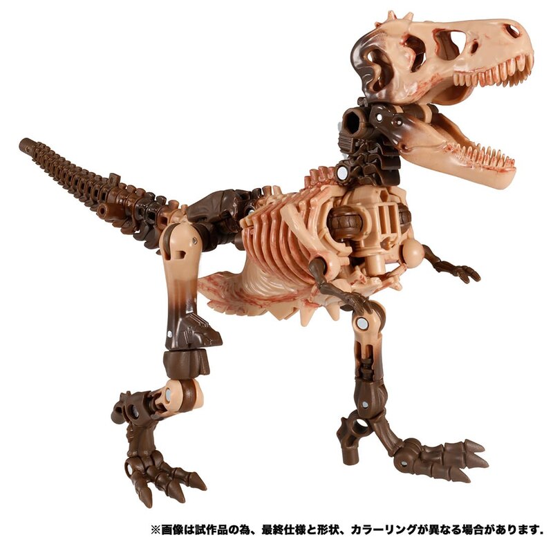 paleotrex transformers