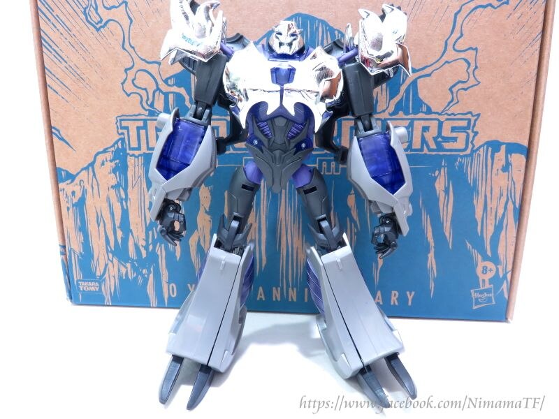 Transformers Prime 10th Anniversary Hades Megatron  (5 of 20)