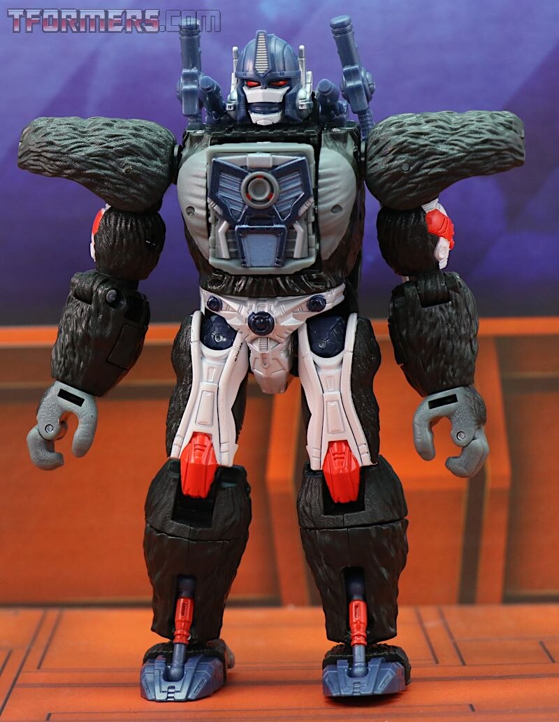 transformers kingdom optimus primal toy