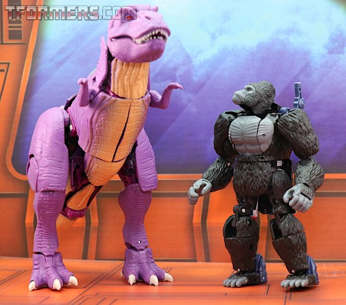 transformers kingdom primal