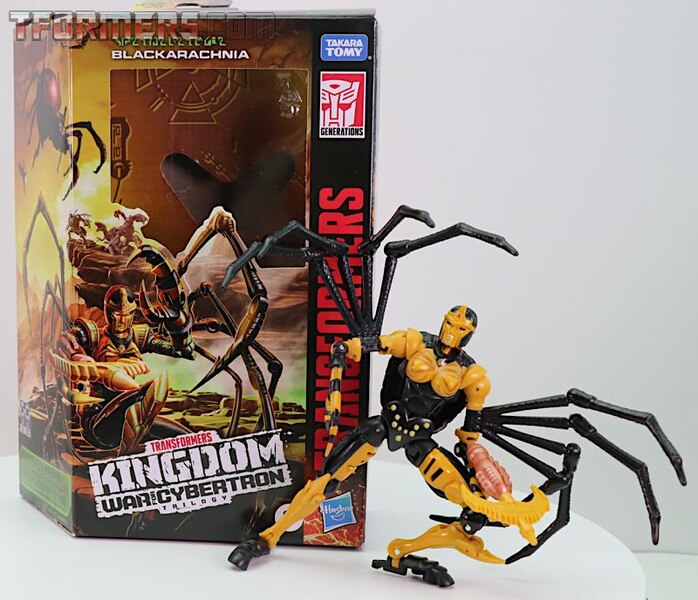 Transformers WFC Kingdom Blackarachnia Figure In-Hand Review & Images Preview