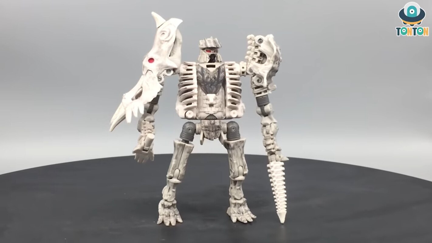 fossilizer transformers ractonite