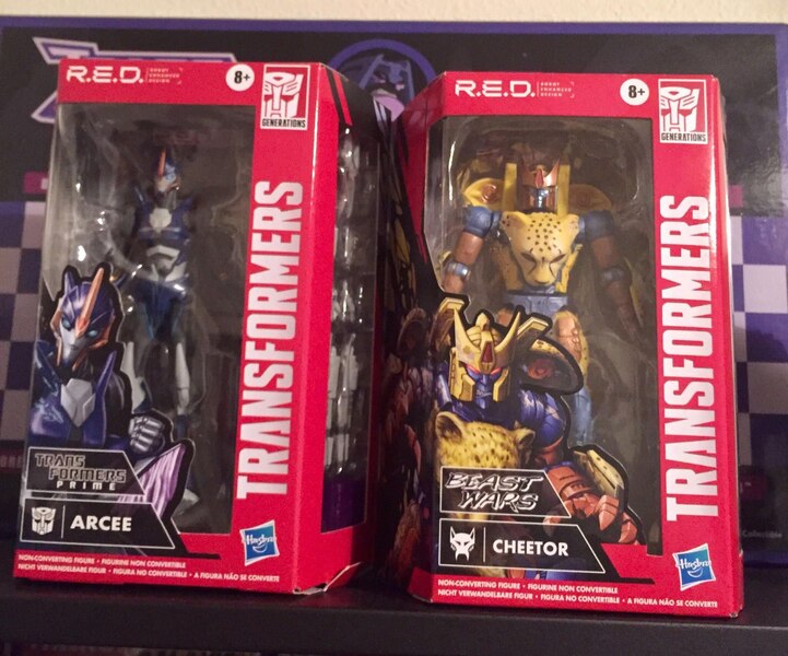 Sighting - Transformers RED Wave 2 Arcee and Cheetor in Austin, Texas