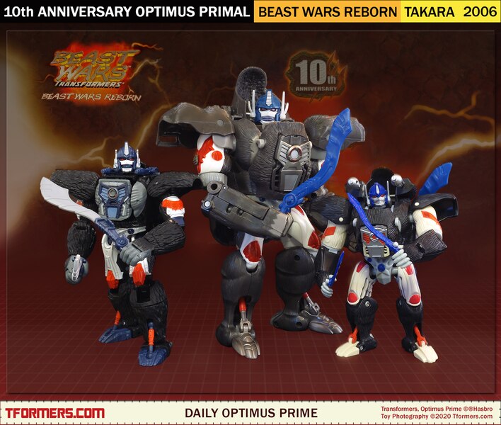 Daily Prime - Beast Wars Reborn 10th Anniversary Optimus Primal