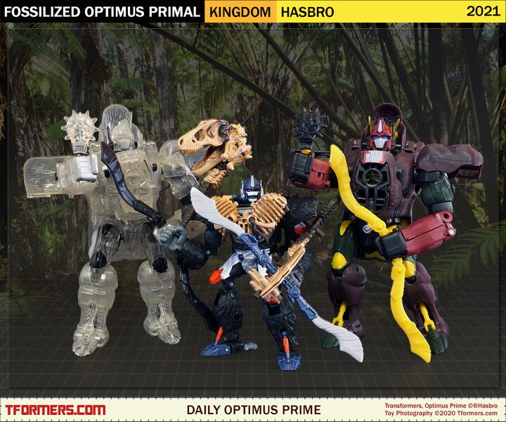 Daily Prime - Transformers Kingdom Fossilized Optimus Primal!