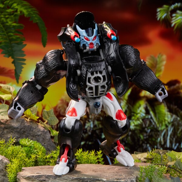 Transformers Beast Wars Reissues Walmart Exclusive Preorder Product ...